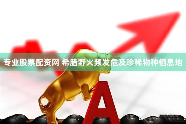 专业股票配资网 希腊野火频发　危及珍稀物种栖息地
