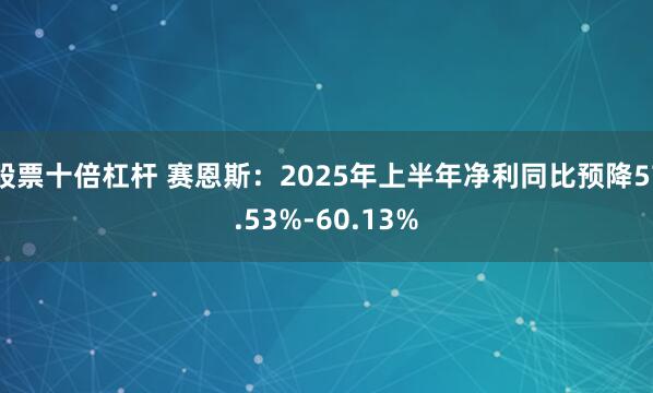 股票十倍杠杆 赛恩斯：2025年上半年净利同比预降57.53%-60.13%