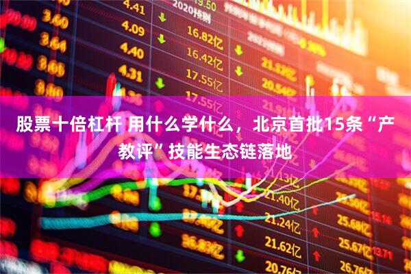 股票十倍杠杆 用什么学什么，北京首批15条“产教评”技能生态链落地